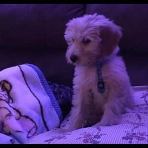 Meet your Posher, Deb